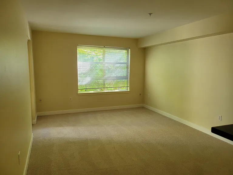 111 108th Ave NE #206 — Photo 16