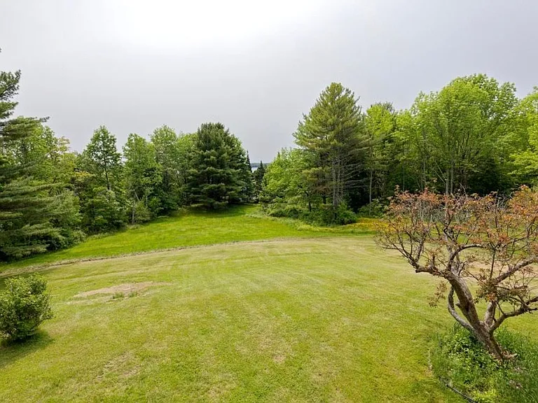 View of Rear Yard