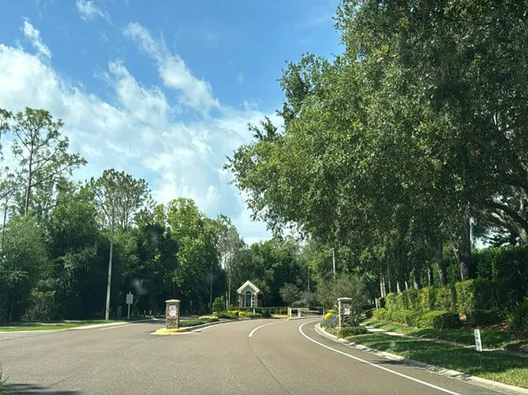 18110 Courtney Breeze Dr, Tampa, FL 33647