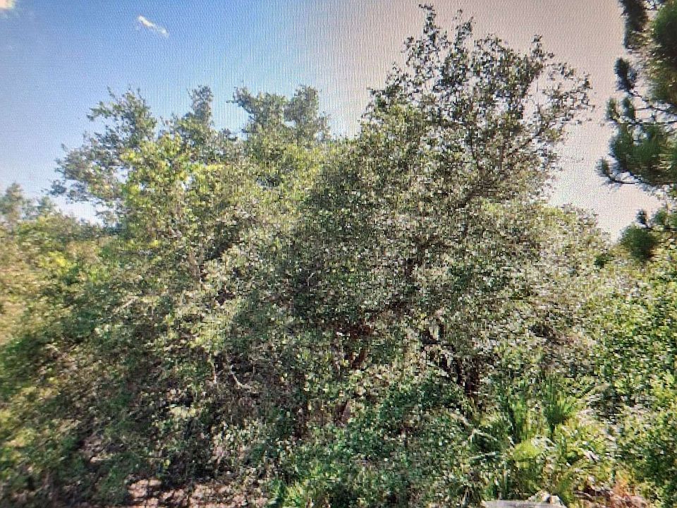 2nd image of 318 Macarthur Dr