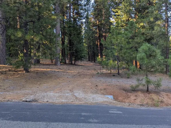 Dew Drop, Volcano, CA 95689