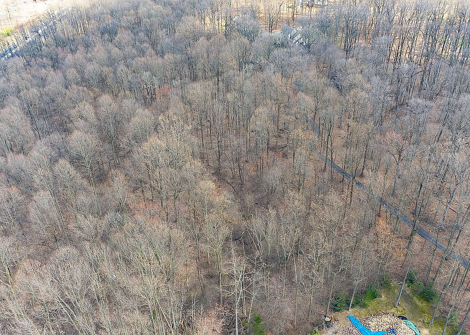 2nd image of 2112 Bodine Rd