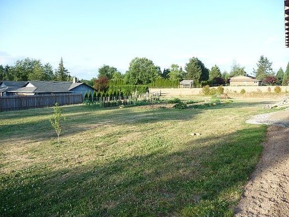 Garden area with new fruit trees