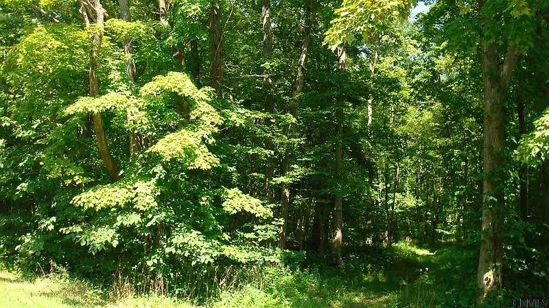 5th image of TOMPKINS Road