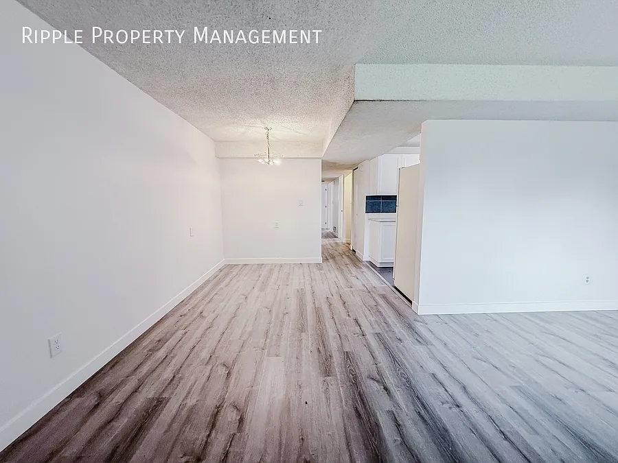 3 bed, 1.0 bath, $1,200 — Photo 3