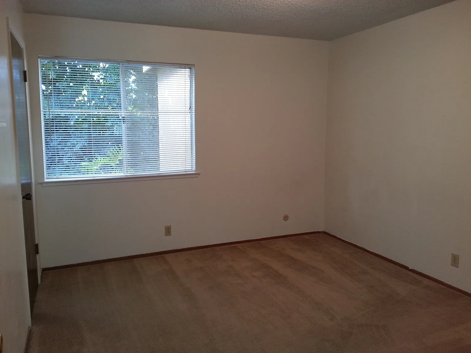 1411 Drake Dr — Photo 4