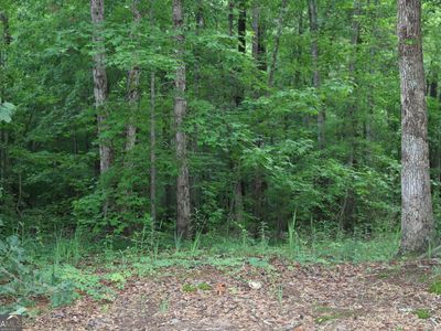 0 Kingston Rd, Colbert, GA, 30628