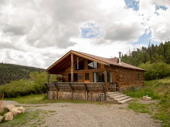 1001 CR 17 #Cebolla Cabin, Lake City, CO 81235