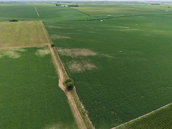 4th image of 1 1111