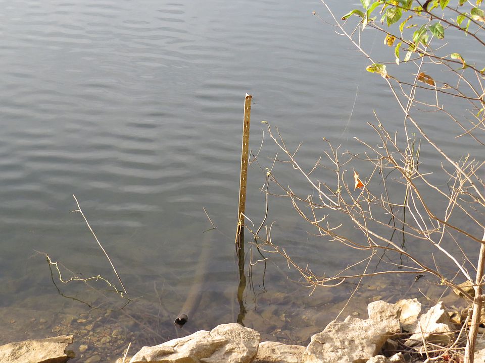 1st image of Bel-lago Dr Lot 1