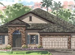 2922 Valencia Ridge St, Valrico, FL 33596