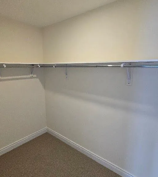 61 Ruby Rdg — Photo 41