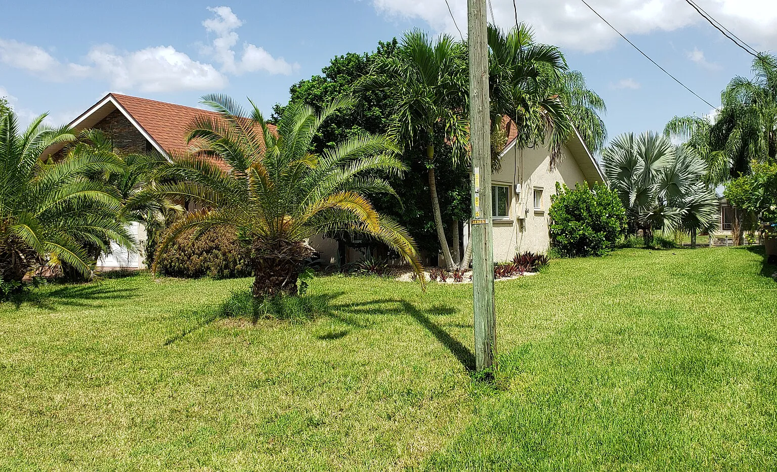 Sunny Paradise — Photo 2