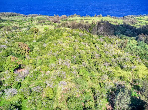 47-4536 Honokaa Waipio Rd Lot B 1, Honokaa, HI 96727