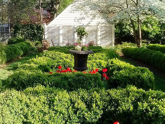 Boxwood Garden in Spring
