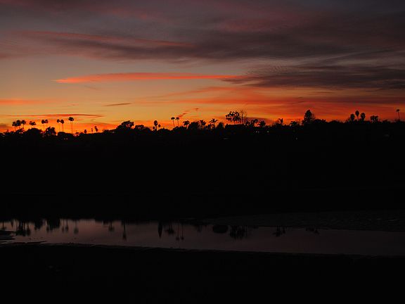 Dinner Sunset Every Night