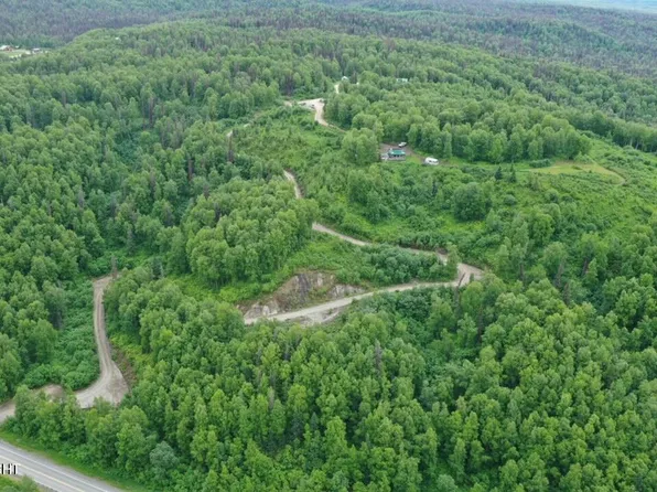 15561 W Willas Way, Willow, AK 99688