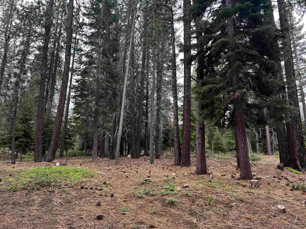 11322 Northwoods Blvd, Truckee, CA 96161