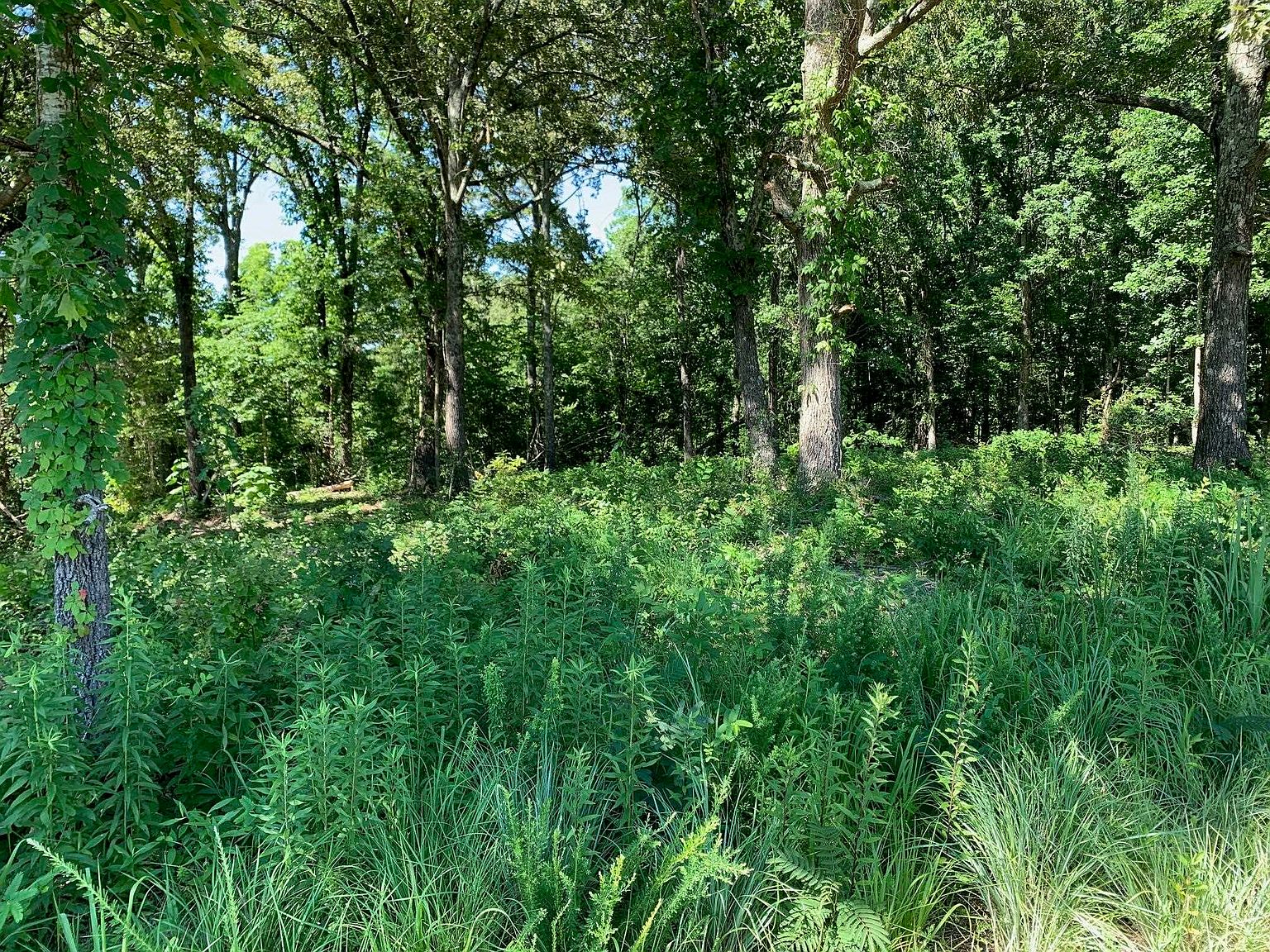 6 Middlefork Rd, Luray, TN 38352 MLS 10175492 Zillow