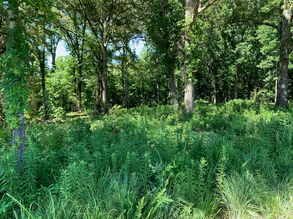 6 Middlefork Rd, Luray, TN 38352