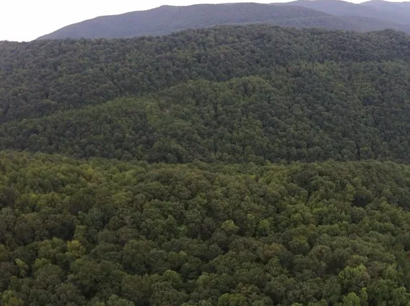 TRACT 1 Straight Fork Rd, Huntsville, TN 37756