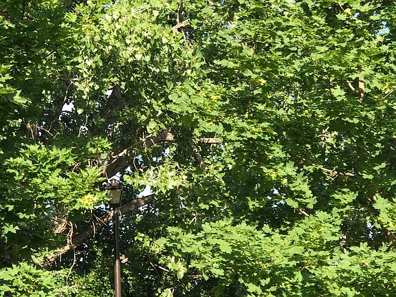 5th image of (Undisclosed Address)