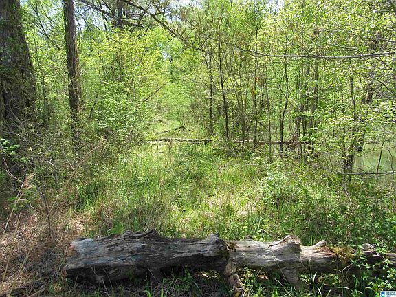 5th image of LOT 2 Indian Creek Trl #0