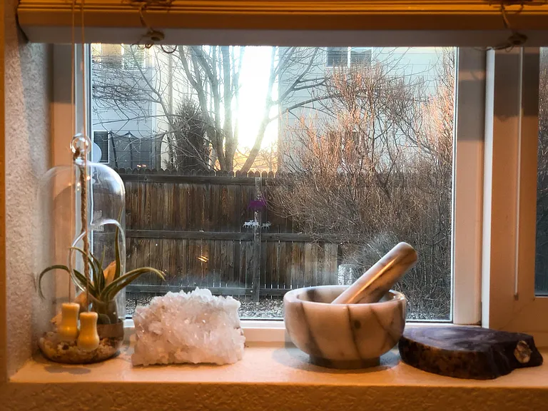 Backyard view through kitchen window