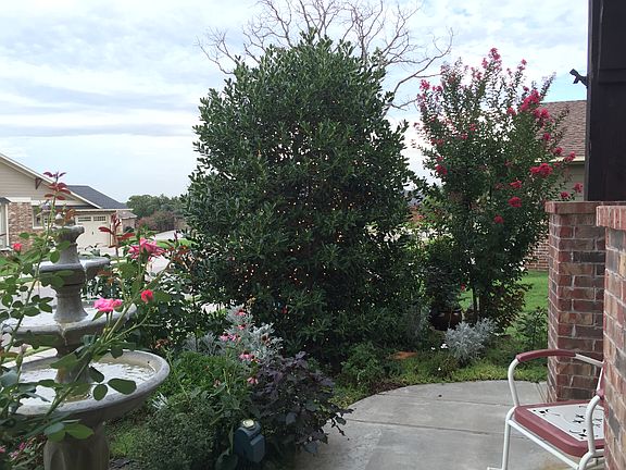 Fountain and lighted tree