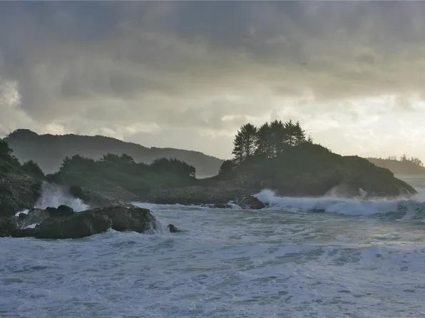 871 Moser Pl, Tofino, BC V0R 2Z0