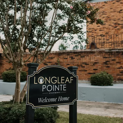 Longleaf Pointe Apartment Homes Photo 1
