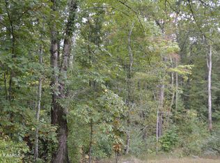 Warman Dr, Spring City, TN 37381