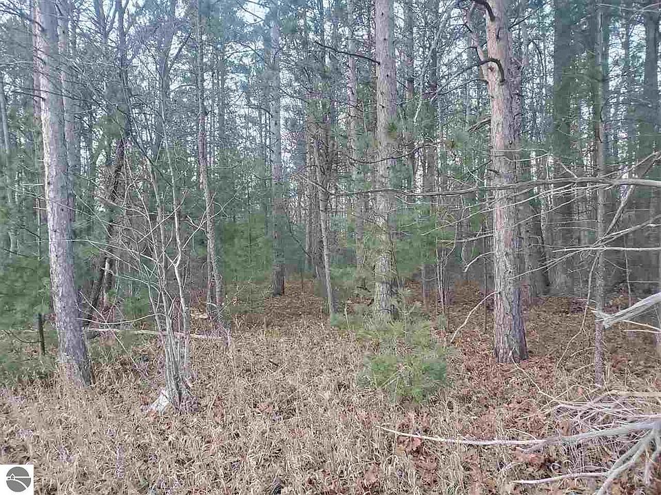 2nd image of 6 County Road 612 NE