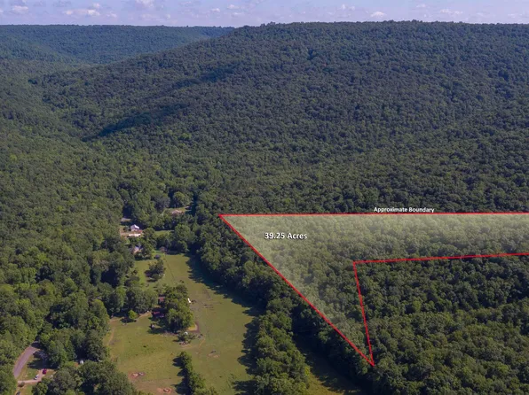 40.45 Acs County Rd #119, Woodville, AL 35776