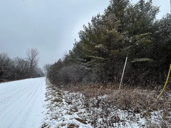 0 Wheeler Rd, Standish, MI 48658