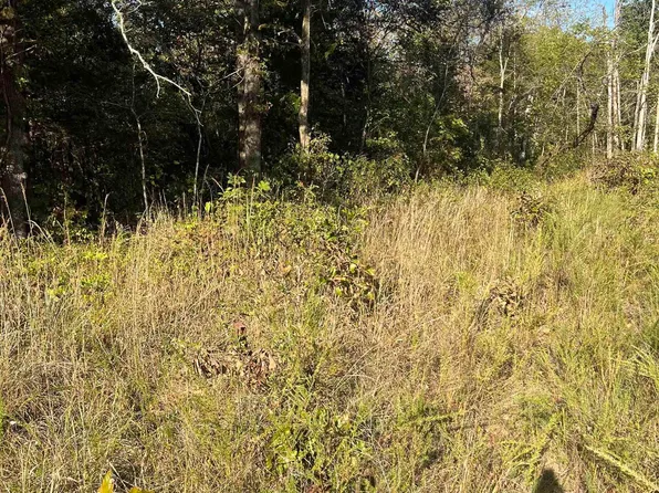 2 Silver Fox Ridge Rd, Salem, AR 72576