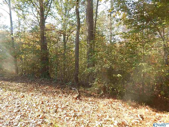2nd image of 1958 Pine Lake Dr NW