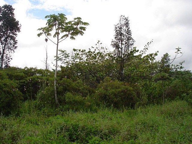 1st image of 12th Ave Lot 1293