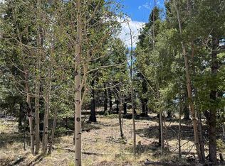 506 Castle Mountain Pass, Guffey, CO 80820
