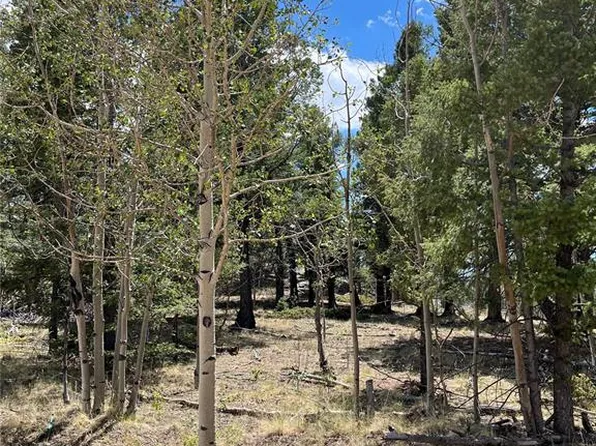 506 Castle Mountain Pass, Guffey, CO 80820