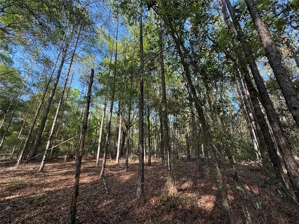 0 SW Old Lake City Ter, High Springs, FL 32643