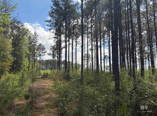Old Dr, Grove Hill, AL 36451