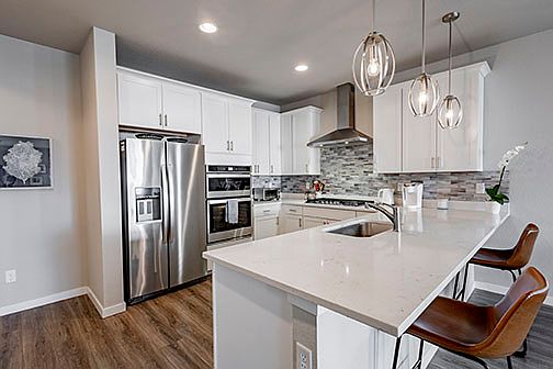 Designer kitchen with new appliances