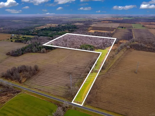 0 Brown Rd, Applegate, MI 48401