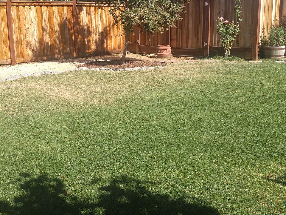 2nd image of 441 Schmeiser Ave