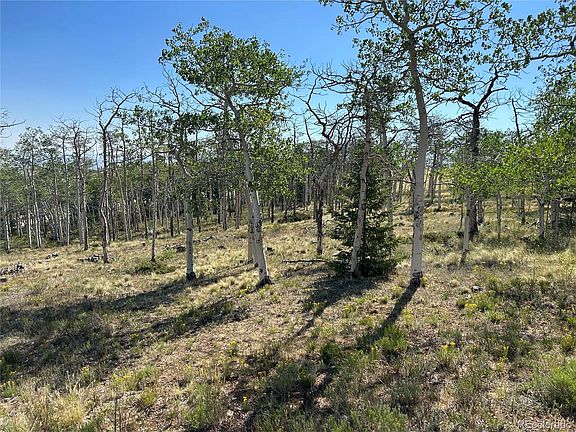 2nd image of 8608 Ranch Road