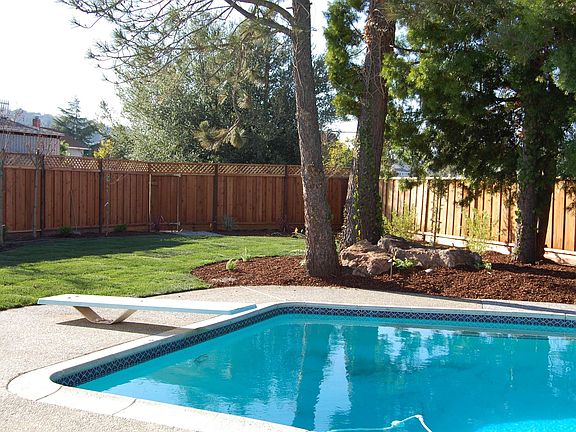 Back Yard II