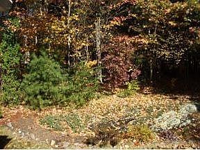 5th image of 264 Donald Dr