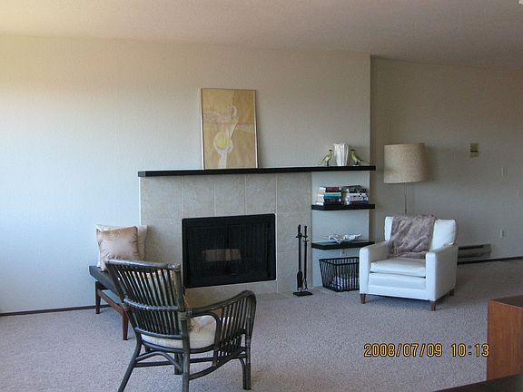 New firepplace surround