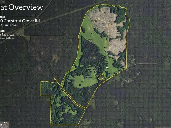 2450 Chestnut Grove Rd, Shiloh, GA 31826